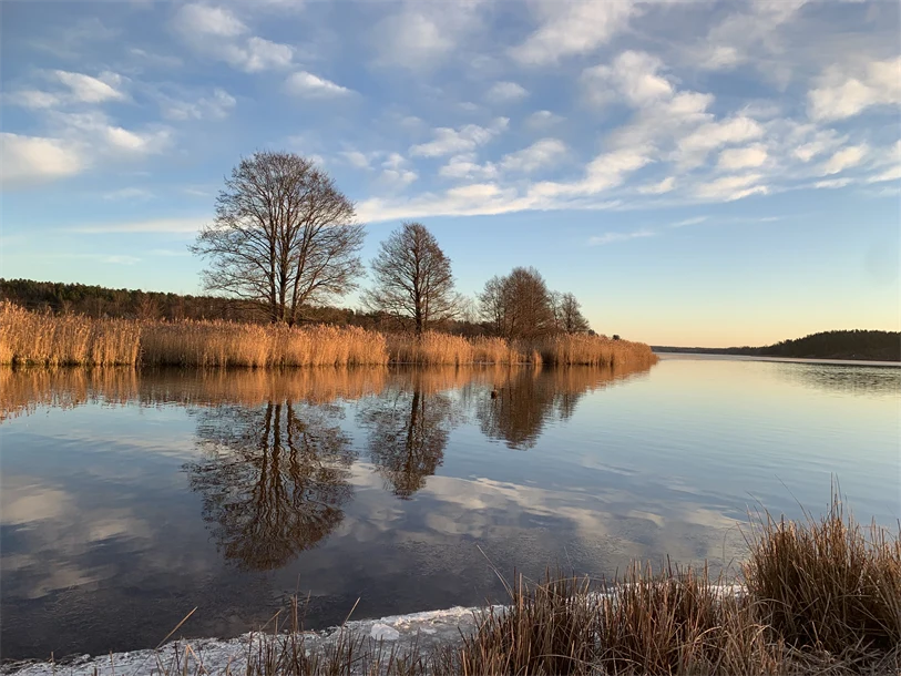 En stilla sjö med spegelblankt vatten som reflekterar himlen och träd längs strandkanten. Stranden är kantad av högt gräs och kala träd. I förgrunden syns vass och en liten isfläck vid vattenbrynet. Himlen är delvis molnig med blå och vita nyanser