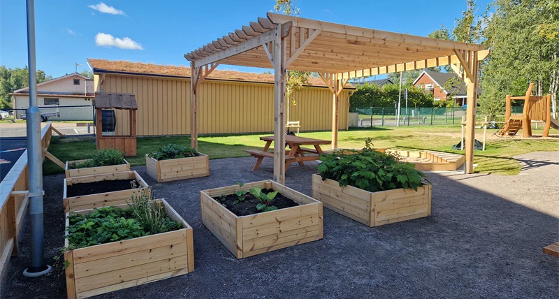 Sex odlingslådor i trä under en pergola