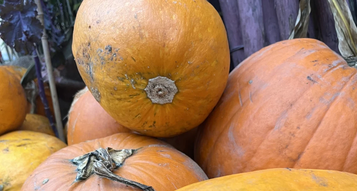 Pumpor i en hög