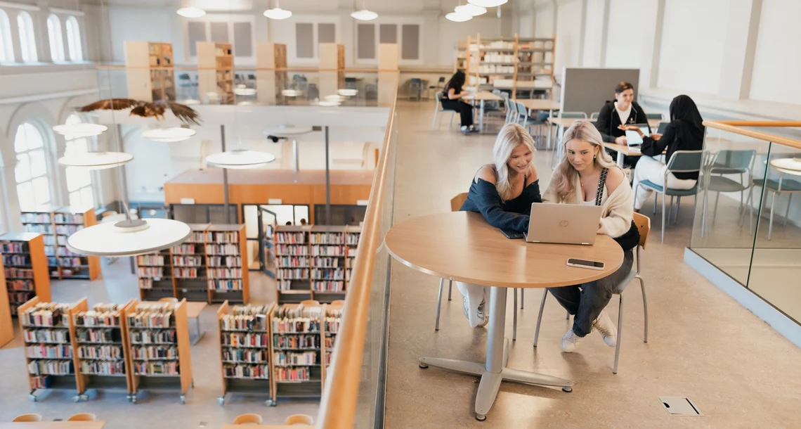 Elever sitter och studerar i biblioteket.