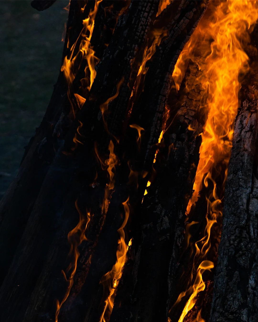 Förkolnad ved som brinner