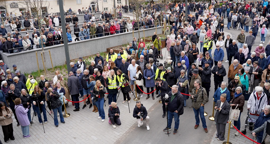 Vikenpassagen_massafolk