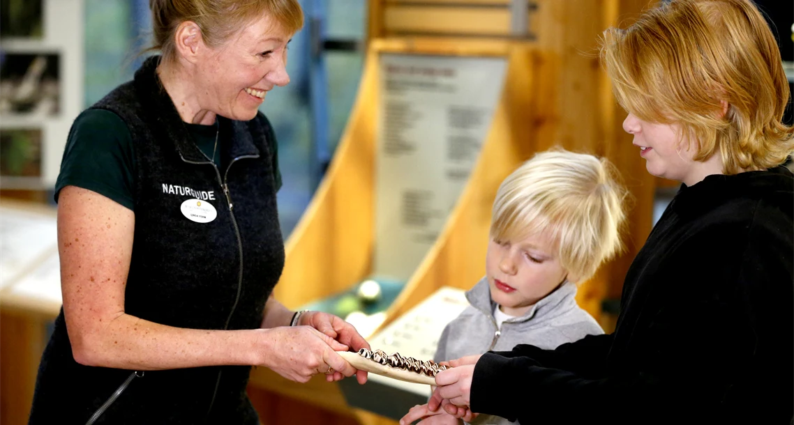 Upptäcker Naturum Värmland 