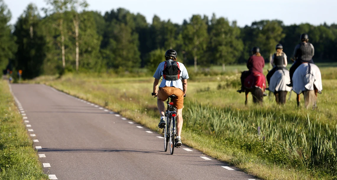En cyklist som cyklar på en väg. I bakgrunden syns tre hästryttare.