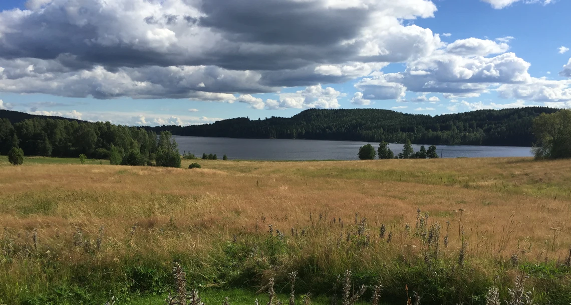 Utsikt över fält med vatten i bakgrunden