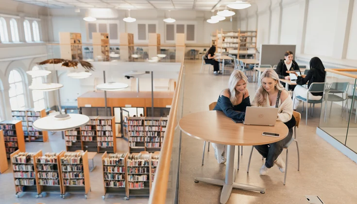 Elever sitter och studerar i biblioteket.