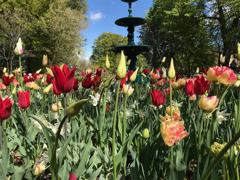 stadssiluett grafisk