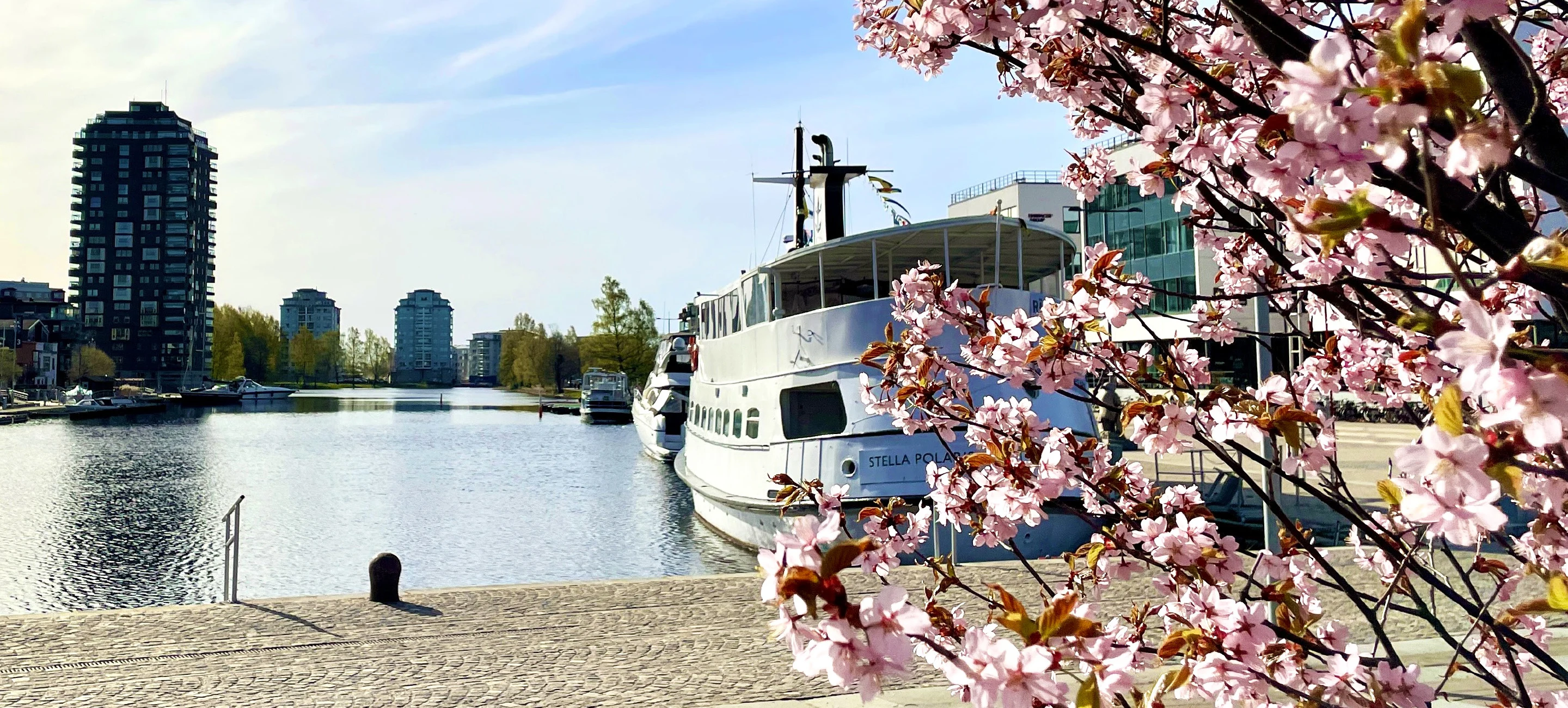 Kajen vid inre hamn med båt och blommande träd i förgrunden
