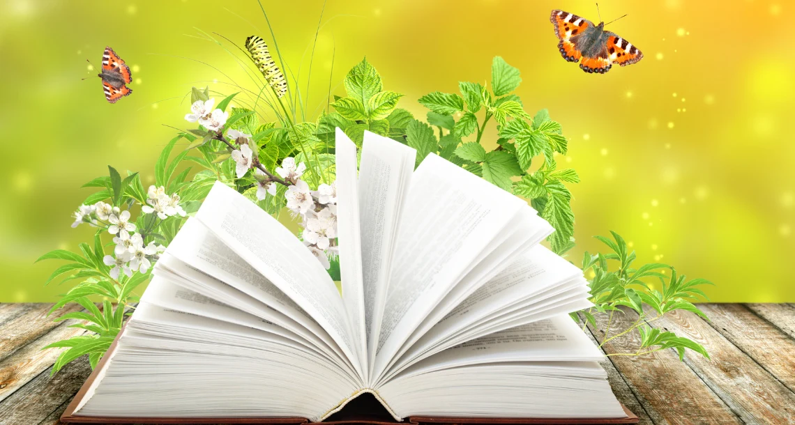 Illustration böcker