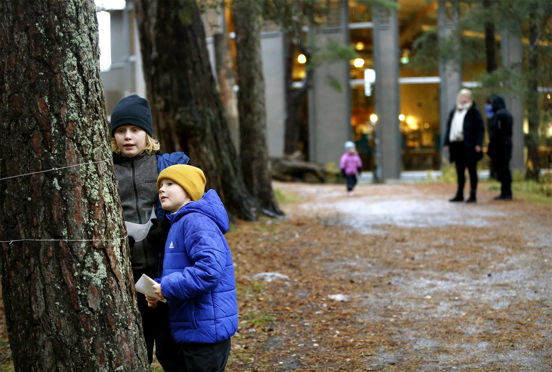 Mariebergsskogens huvudentré