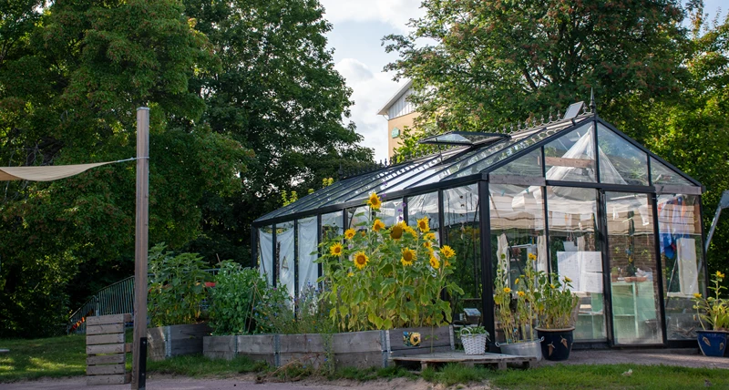 Dirigentens förskola växthus