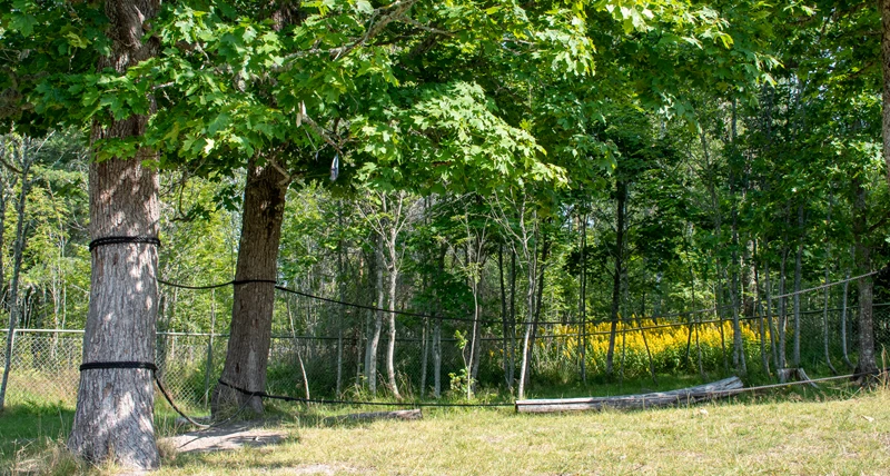 Mjölnartorpets förskola grönska