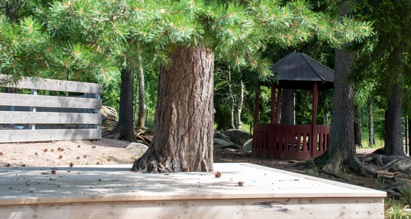 Morkullans förskola skogsdunge