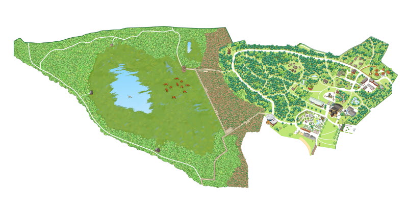Illustrerad karta över Mariebergsskogen