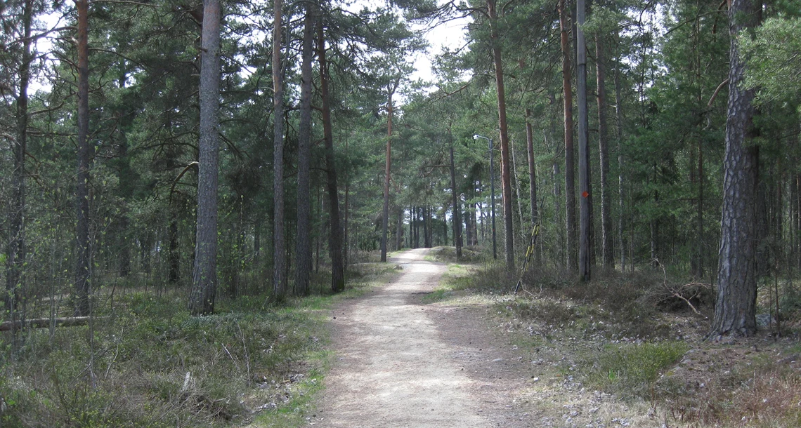 Motionsspår omgivet av skog