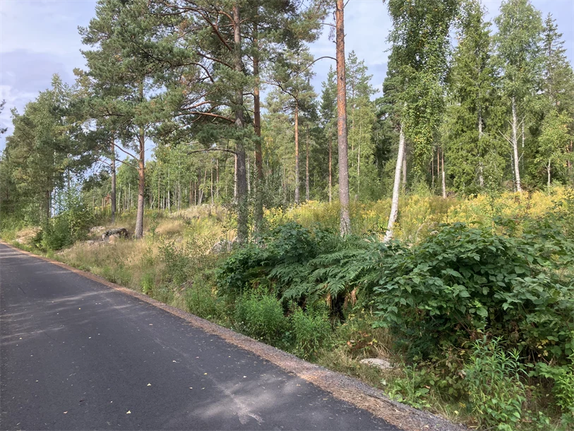 Vybild Planprogram Bostäder i Välsviken