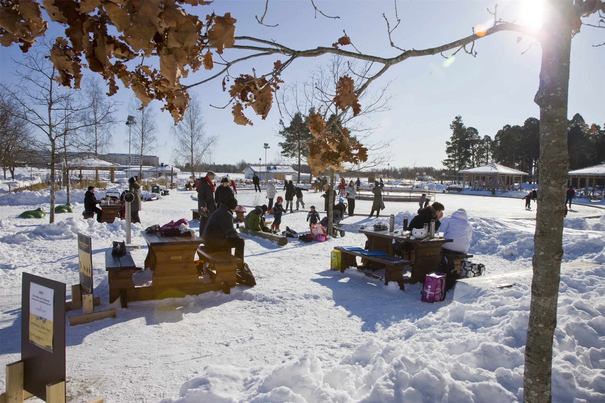 Mariebergsskogens skridskobana