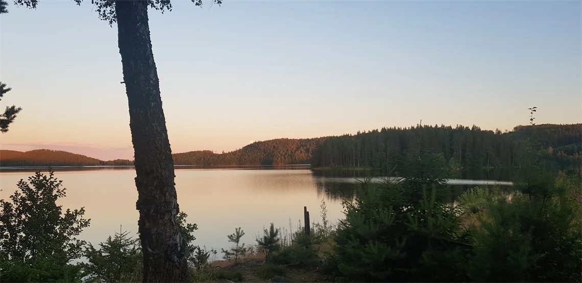 Solnedgång över en sjö med skog i förgrunden