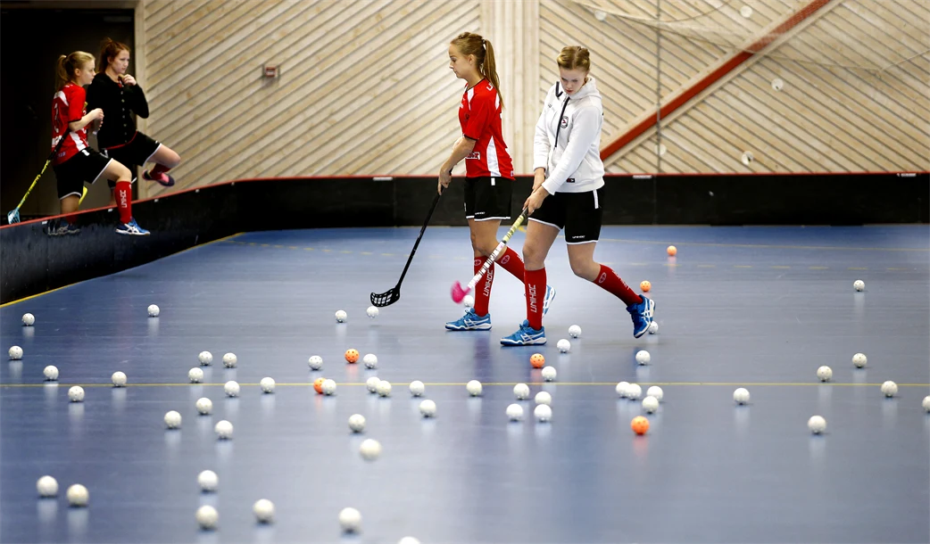 Tingvallahallarna Karlstad innebanyarena