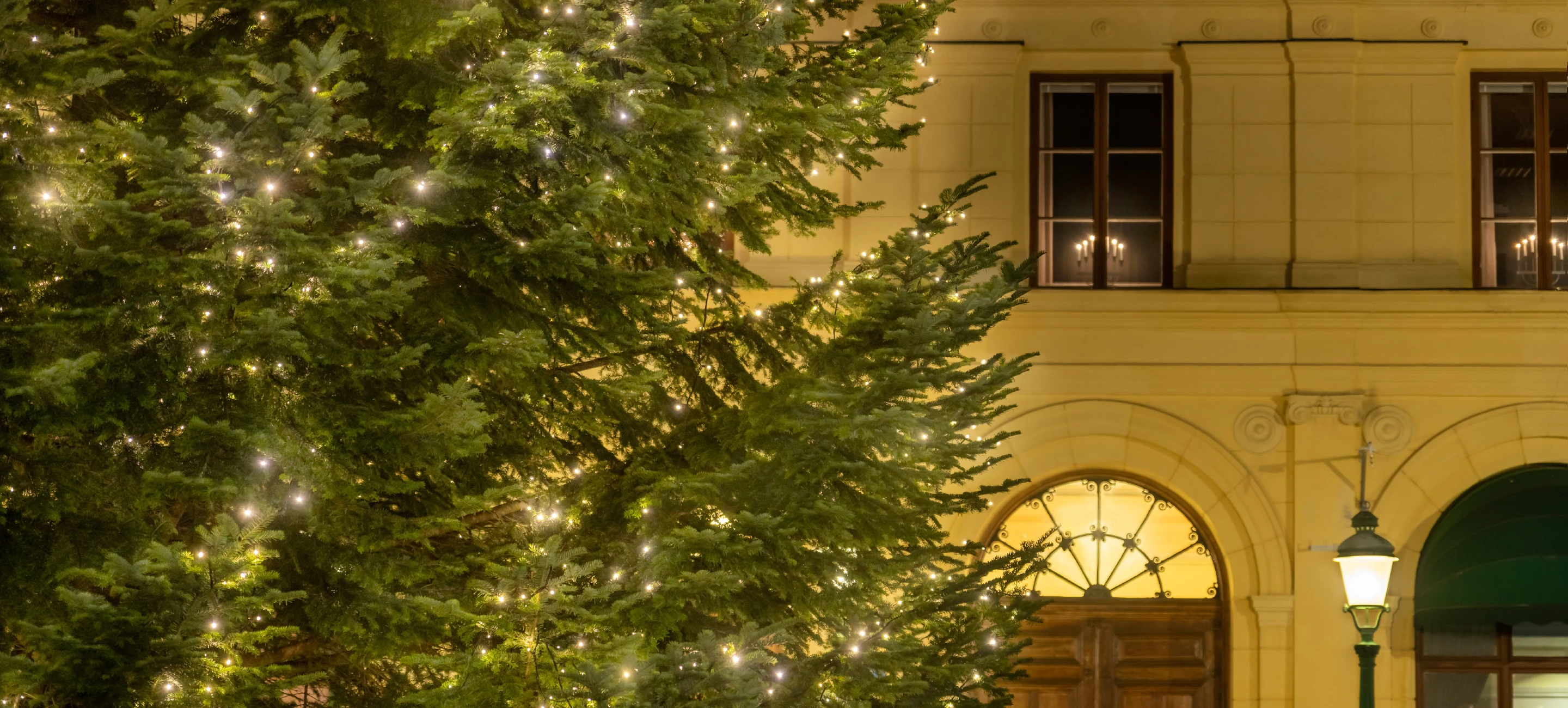 Julgranen och Rådhuset på Stora torget