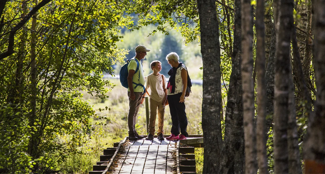 Tre personer i skogen. 
