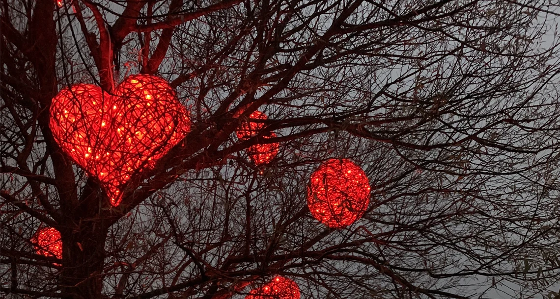 Lysande hjärtan i träd under Ljuspromenad.