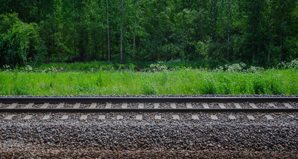Ett järnvägsspår. Man ser banvallen och i bakgrunden skog