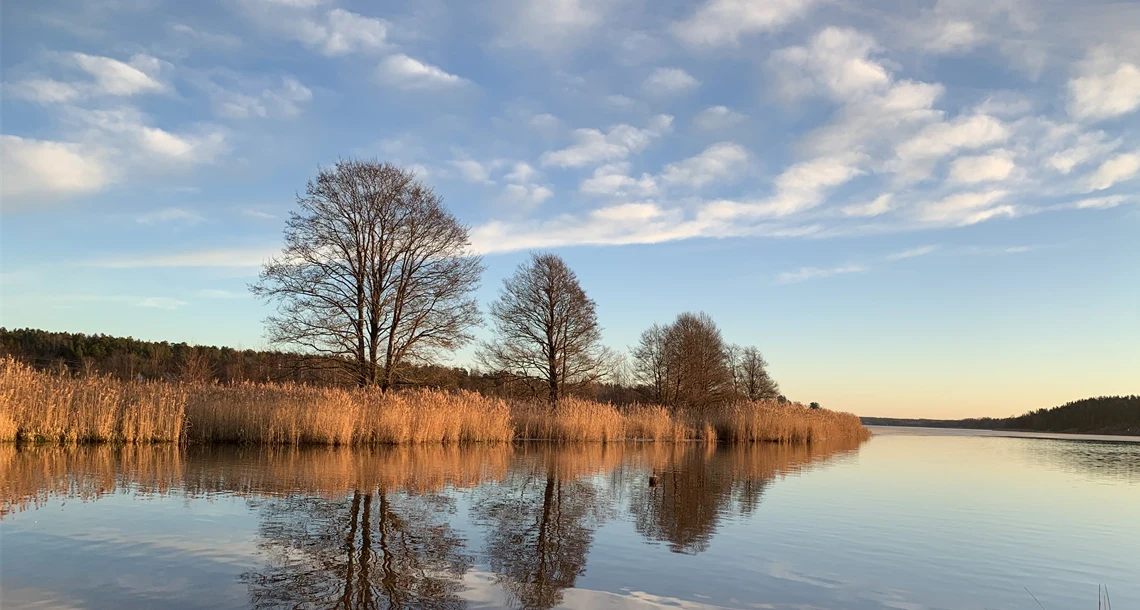 En stilla sjö med spegelblankt vatten som reflekterar himlen och träd längs strandkanten. Stranden är kantad av högt gräs och kala träd. I förgrunden syns vass och en liten isfläck vid vattenbrynet. Himlen är delvis molnig med blå och vita nyanser