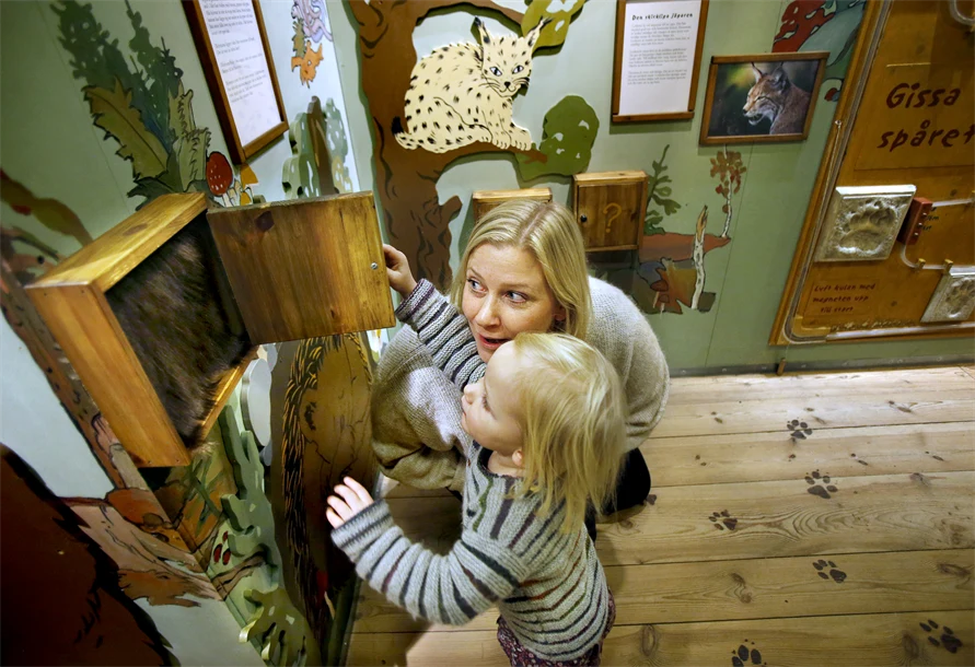 Naturums utställning.