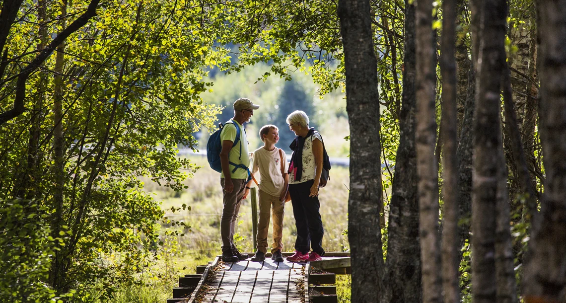 Tre personer i skogen. 