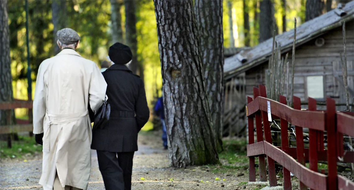 Ryggen på ett äldre par på skogspromenad