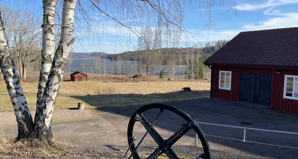 idyllisk landskapsbild med en blå sjö i bakgrunden och en björk i förgrunden. 