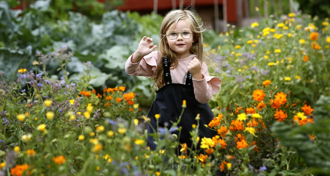 Vy över Mariebergsskogen