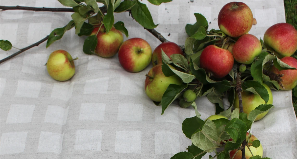 {"X":0.0,"Y":0.016666666666666666,"Width":1.0,"Height":0.66666666666666663}