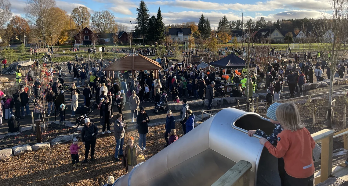 Barn på väg ner i rutschkana och stort hav av folk syns i bakgrunden.  