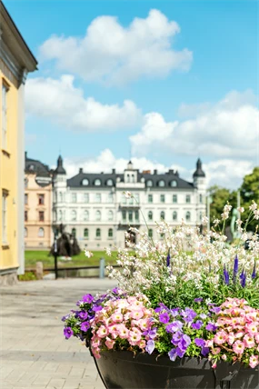 Sommarblommor i kruka med Sockerslottet i bakgrunden.
