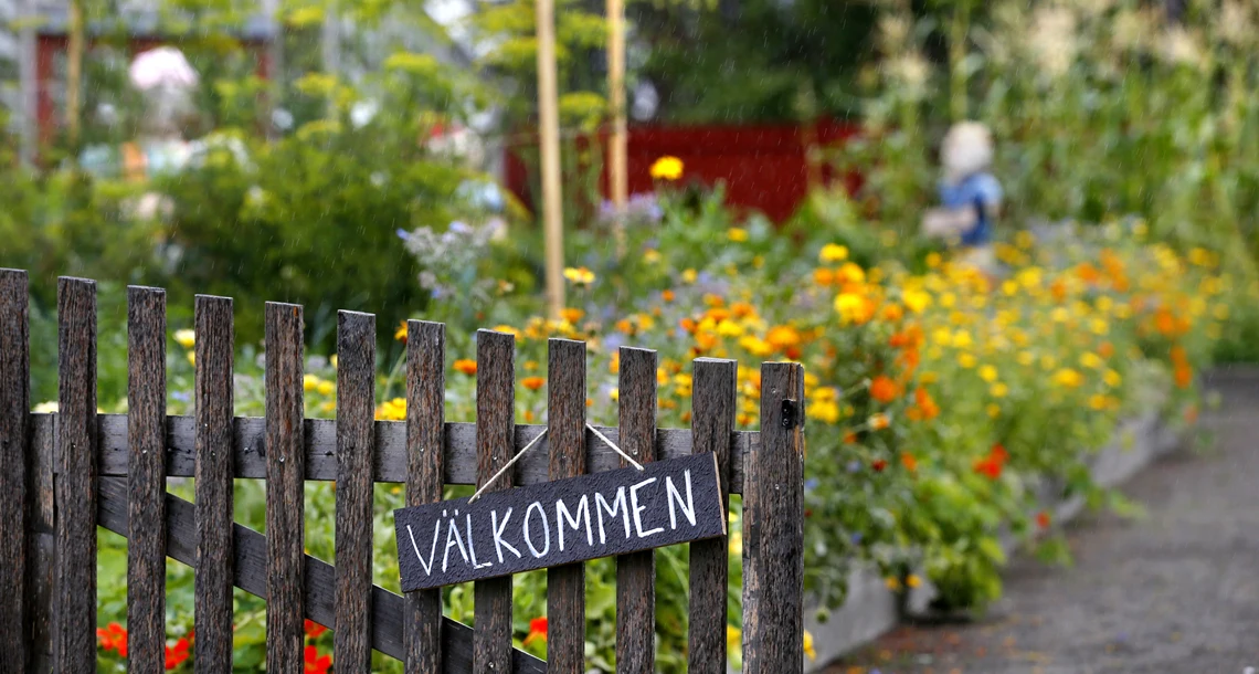 Barnens köksträdgård. 