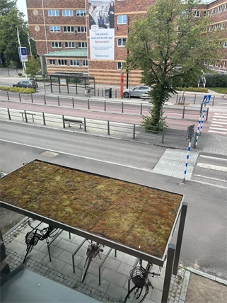 Grönt tak på cykelparkering