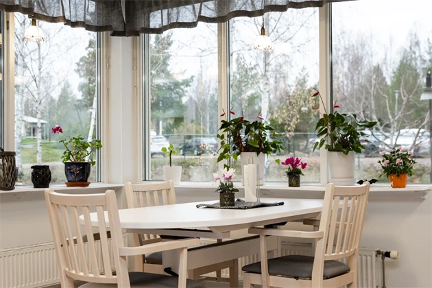 Matbord och stolar intill fönster med blommor i