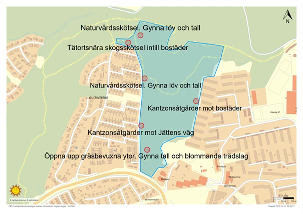 Skogsskötselåtgärder vid Himlabacken. 