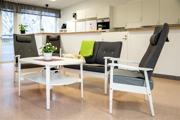 Fåtölj och soffa med gråklädsel samt ett sideboard