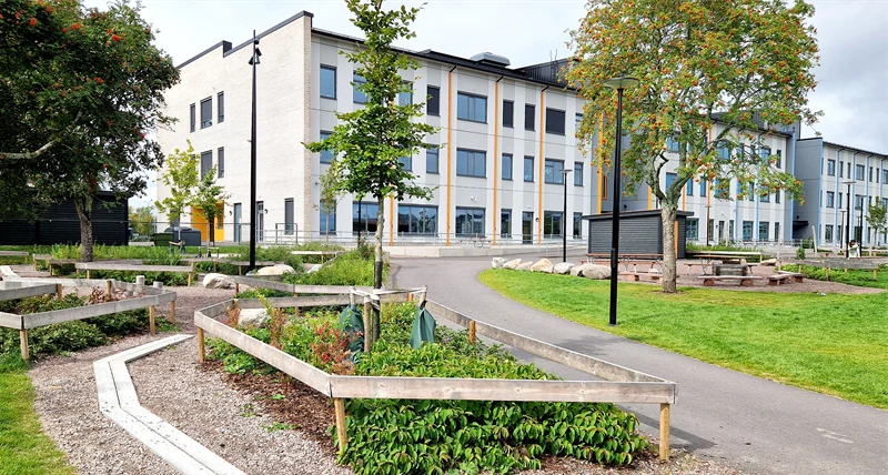 Orrholmsskolans skolgård med skolbyggnad och odlingar