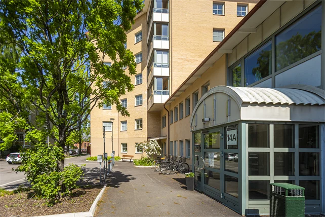 Stjärnhusets trygghetsboendes grönskande utemiljö i dagsljus