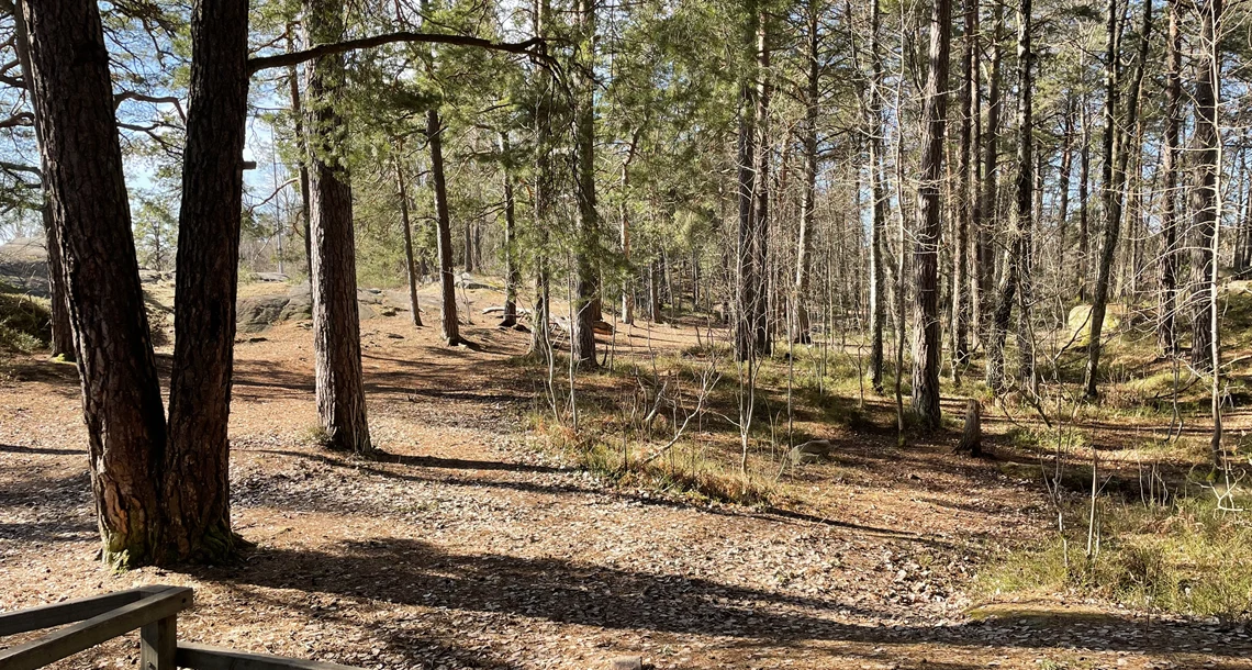 Skogsområde vid himlabacken