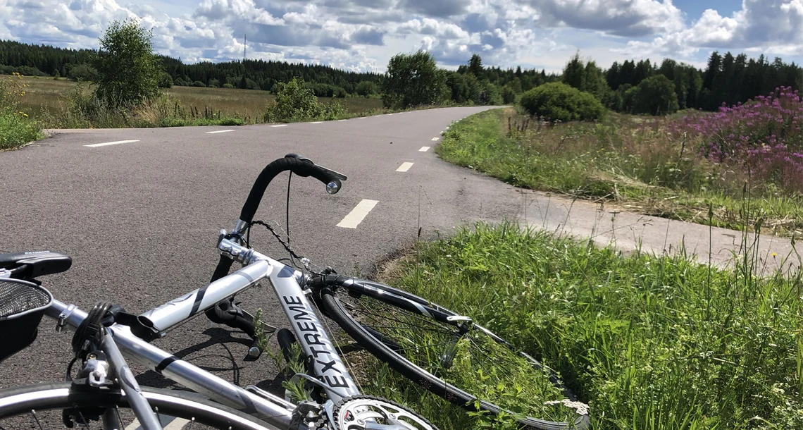 Cykel ligger i gräset bredvid en asfalterad cykelväg.
