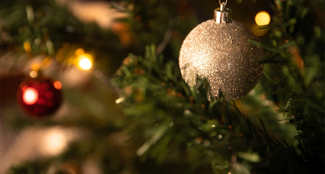 {"X":0.15,"Y":0.0,"Width":0.665,"Height":1.0}