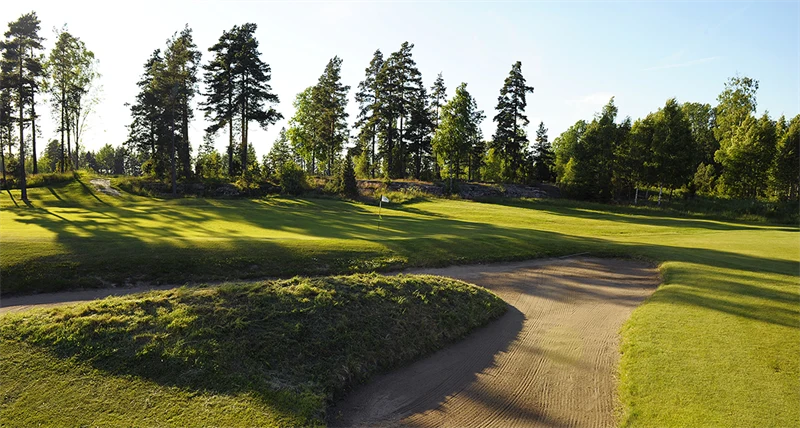 En grönskande golfbana i motljus