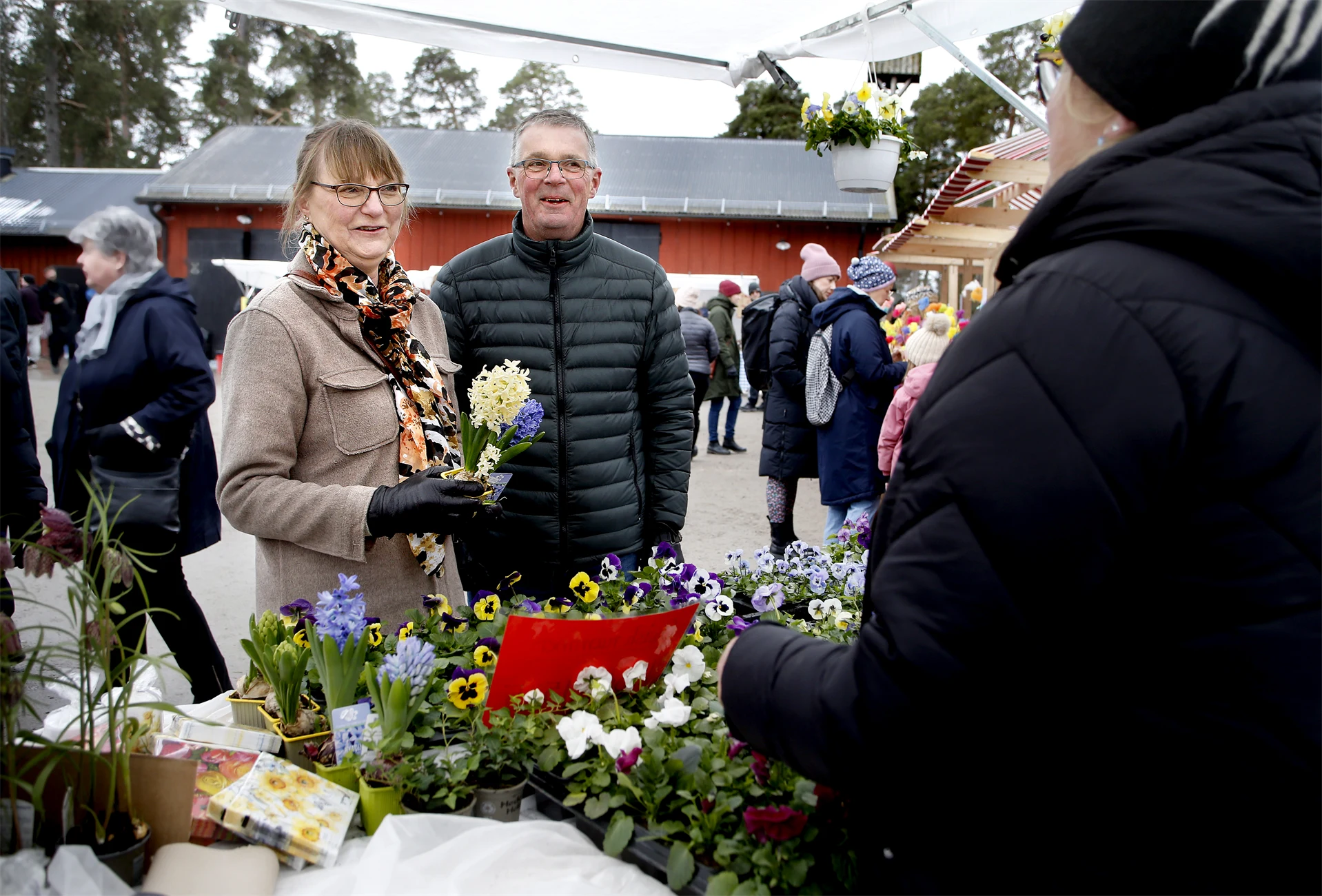 Mariebergsskogens skridskobana