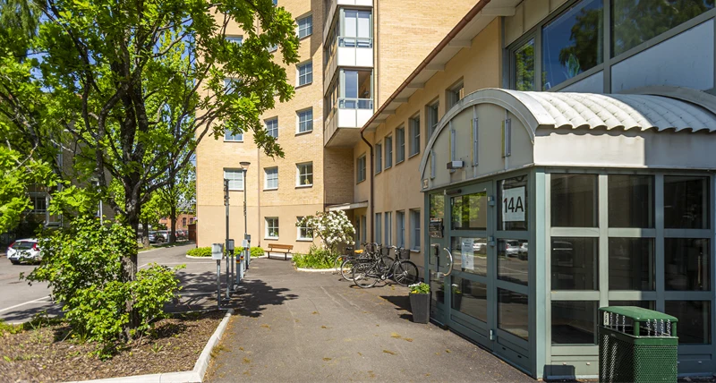 Stjärnhusets trygghetsboendes grönskande utemiljö i dagsljus